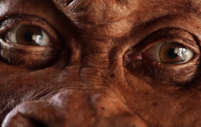 Homo naledi – o “homem das estrelas”, assista ao vídeo da recriação do seu rosto