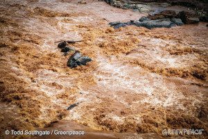 Água do Rio Doce tomada pela lama de resíduos minerais desemboca no Oceano Atlântico. Foto: Todd Southgate / Greenpeace 