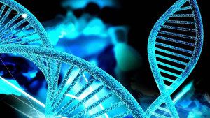 Patologias também podem ter origem genética. Imagem: divulgação