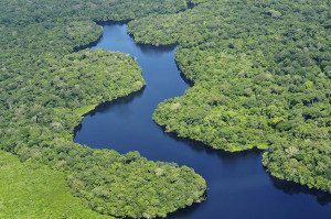 Em reunião realizada em Manaus, pesquisadores vinculados ao GoAmazon e ao LBA apresentaram resultados dos projetos conduzidos nos últimos anos e debateram prioridades para o período entre 2017 e 2021. Foto:Neil Palmer (CIAT)/Wikimedia Commons