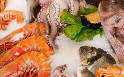 Saiba como escolher, armazenar e preparar adequadamente o seu pescado, download