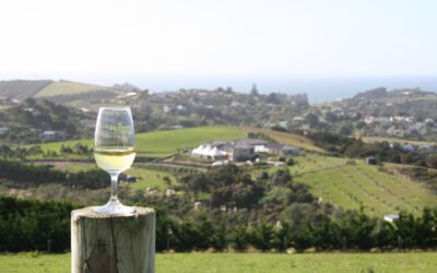 Vinho branco com Peixes e Frutos do Mar