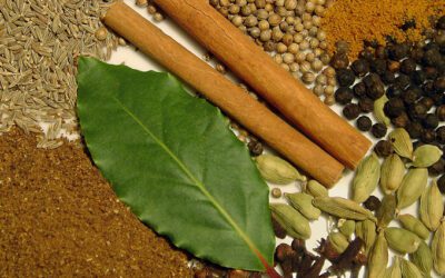 Dicas de Temperos na Culinária