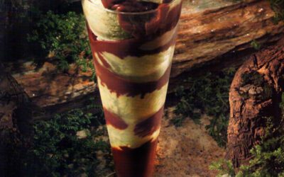 Sorvete Choc’Amour