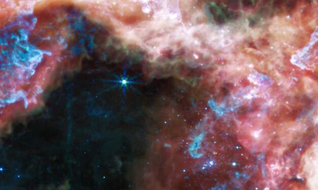 Webb em duas visões: entenda as estrelas da Nebulosa da Tarântula