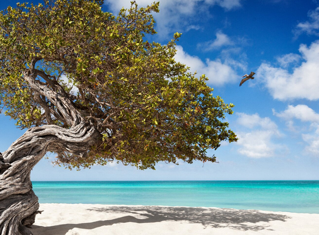 A Dolce Vita em Aruba – a ilha mais feliz do Caribe!