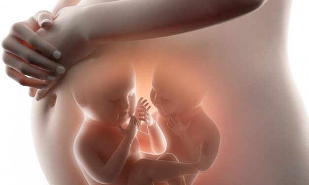 Gravidez de gêmeos: conheça uma das mais complexas situações da Obstetrícia