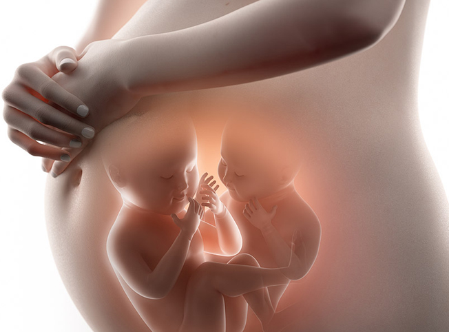 Gravidez de gêmeos: conheça uma das mais complexas situações da Obstetrícia