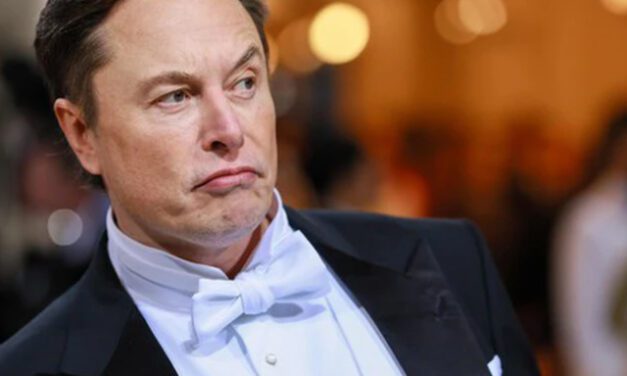 Elon Musk, o novo Chief Twit, pretende avaliar censura nas contas no Brasil