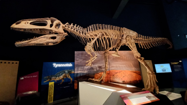 Dinossauro gigante descoberto na Patagônia está no Ibirapuera
