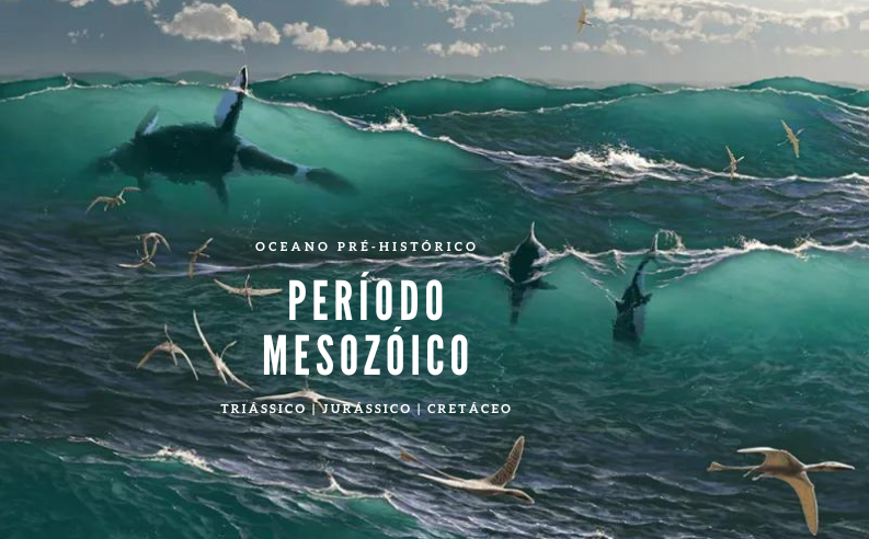 Oceano pré-histórico: Répteis do mar – estamos na Era Mesozóica