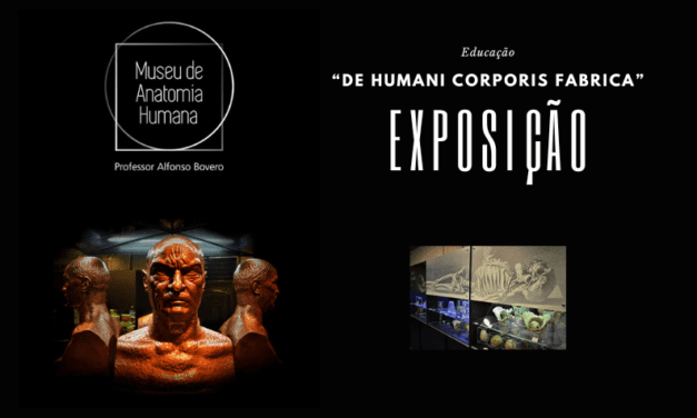 Museu de Anatomia Humana da USP inaugura exposição fotográfica, visite