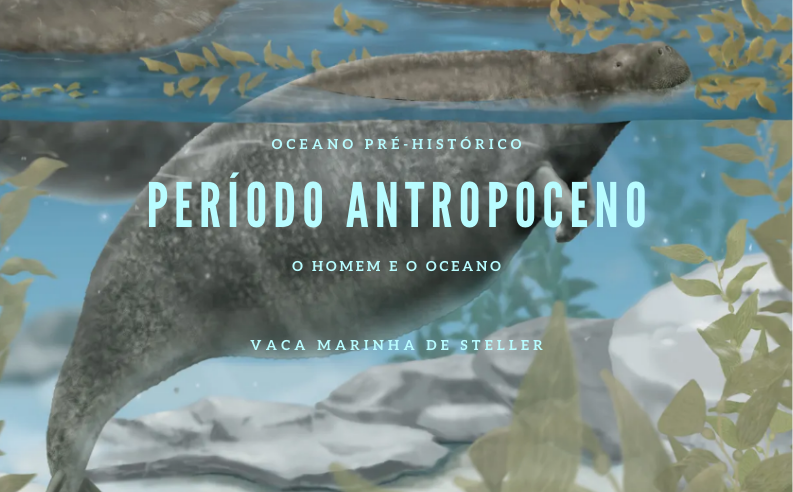 Período Antropoceno – Os humanos e o Oceano