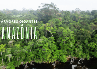 pesquisas gigantes da amazonia 2