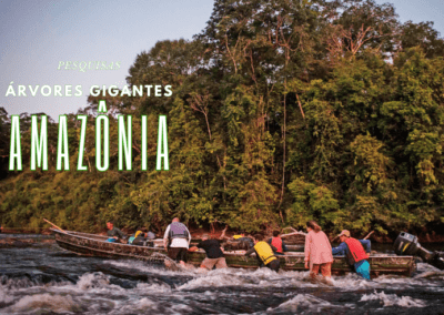 pesquisas gigantes da amazonia 3