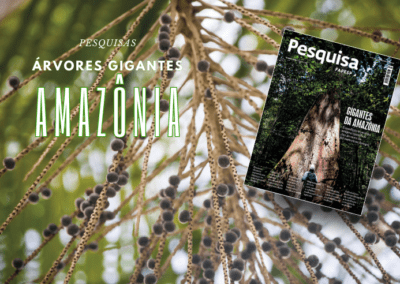 pesquisas gigantes da amazonia