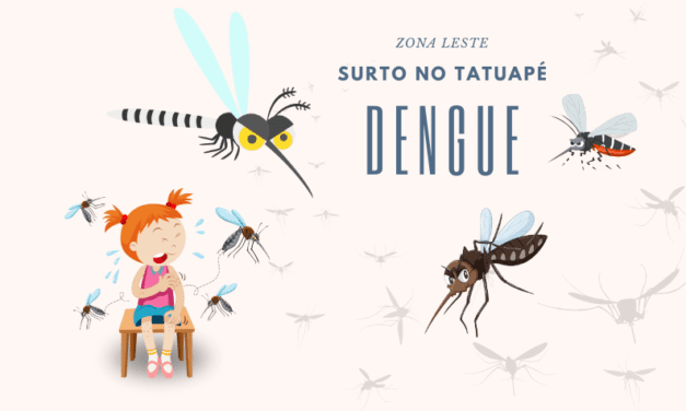 Tatuapé continua registrando aumento de casos de dengue, previna-se