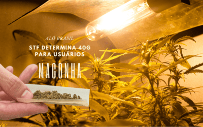 STF fixa 40g de maconha, o limite que diferencia usuário de traficante