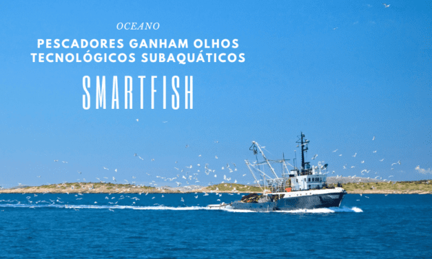 Oceano: pescadores ganham ‘olhos tecnológicos subaquáticos’ – conheça o SMARTFISH, vídeo