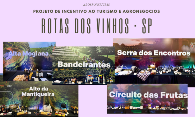 Programa Rotas dos Vinhos mostra o potencial paulista e incentiva negócios