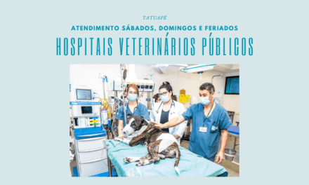 Hospital Veterinário Público no Tatuapé e nas quatro regiões da cidade atendem aos finais de semana e feriados