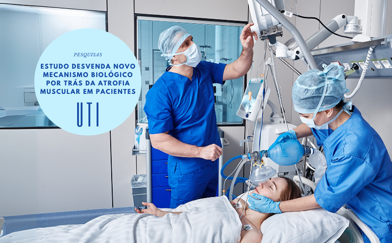 Estudo desvenda novo mecanismo biológico por trás da atrofia muscular em pacientes de UTI