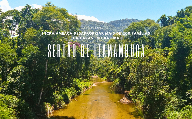 Sertão de Itamambuca, Ubatuba – presença do caiçara é natural e centenária, comprovam pesquisadores