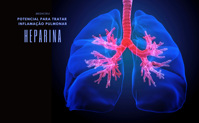 Usada como anticoagulante, heparina mostra potencial para tratar inflamação pulmonar, diz estudo