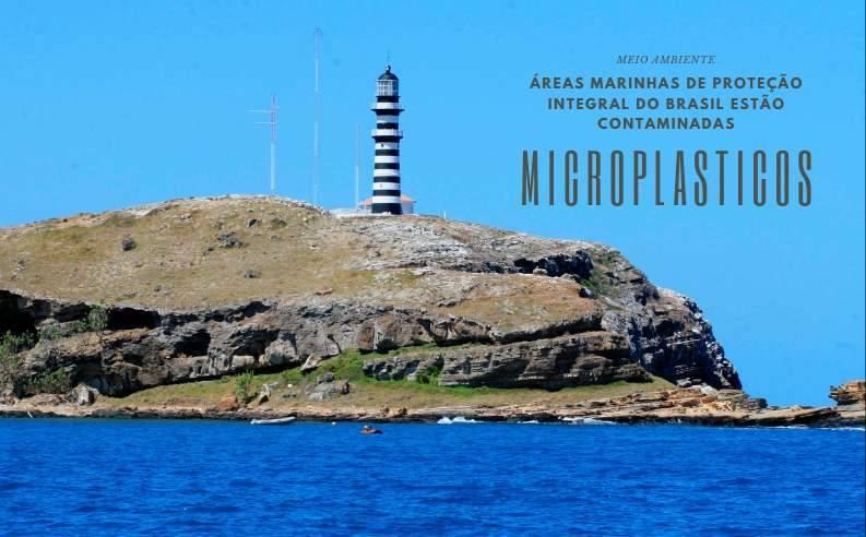 Áreas marinhas de proteção integral do Brasil estão contaminadas por microplásticos