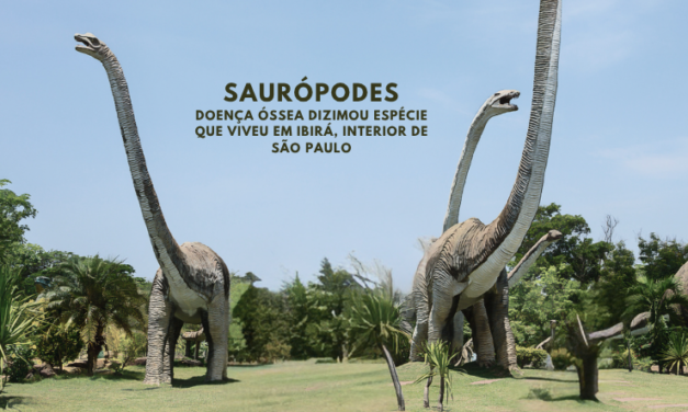 Doença óssea mortal dizimou dinossauros pescoçudos no atual interior de São Paulo, vídeo