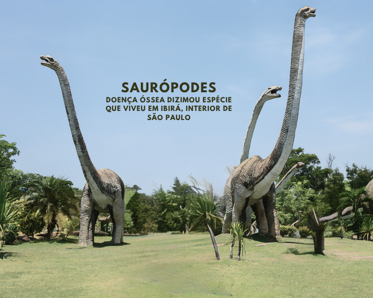 Doença óssea mortal dizimou dinossauros pescoçudos no atual interior de São Paulo, vídeo