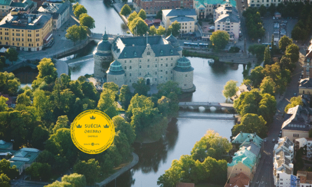 Traços e influências vikings na Suécia e além