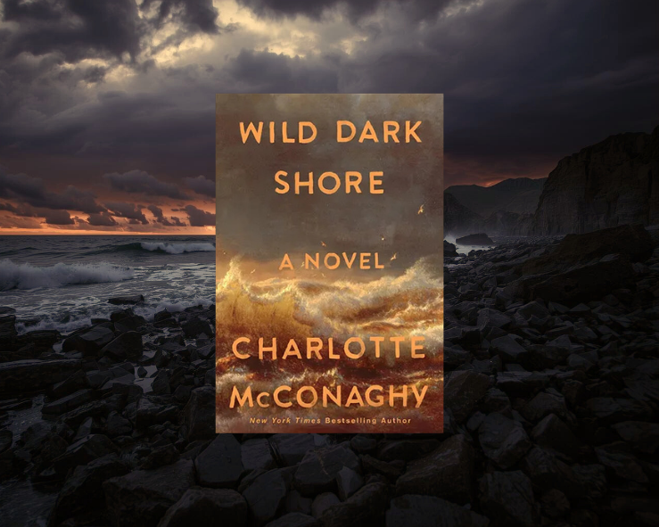 Costa Escura Selvagem é o livro nº 1 na Amazon Books