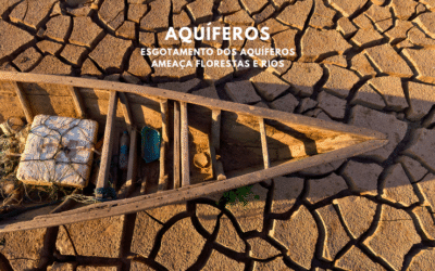 Esgotamento dos aquíferos ameaça florestas e rios, mostra estudo