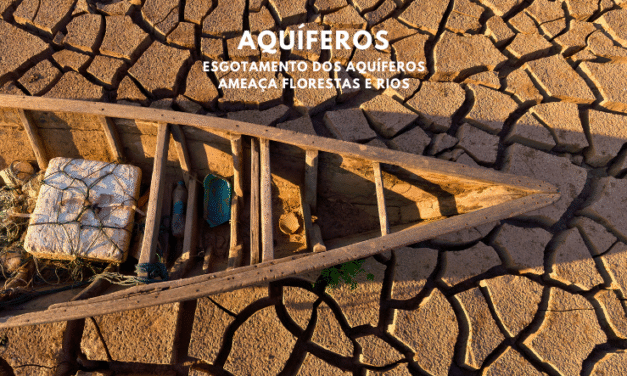 Esgotamento dos aquíferos ameaça florestas e rios, mostra estudo