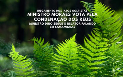 Moraes vota pela condenação dos réus e Dino segue o relator, falando sobre samambaias