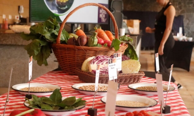 Sesc São Paulo discute alimentação adequada e saudável: 9ª Experimenta! Comida, Saúde e Cultura