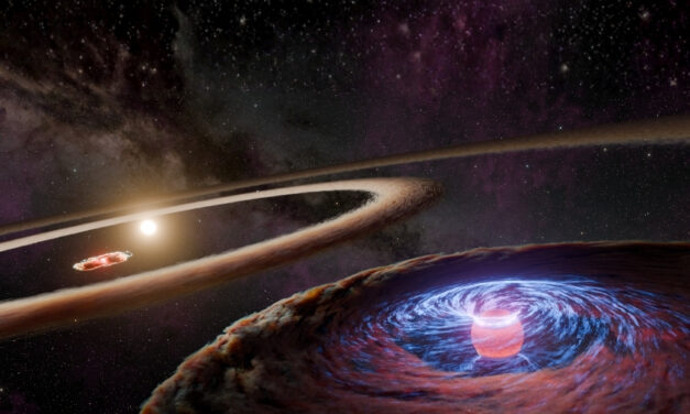 Alerta de descoberta: Planeta ‘bebê’ fotografado em um anel ao redor de uma estrela pela primeira vez!