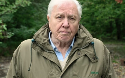 Gastos “climáticos” e financeiros das COPs merecem uma reflexão muito além da COP30 no Brasil