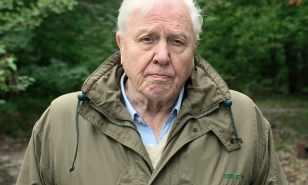 Gastos “climáticos” e financeiros das COPs merecem uma reflexão muito além da COP30 no Brasil