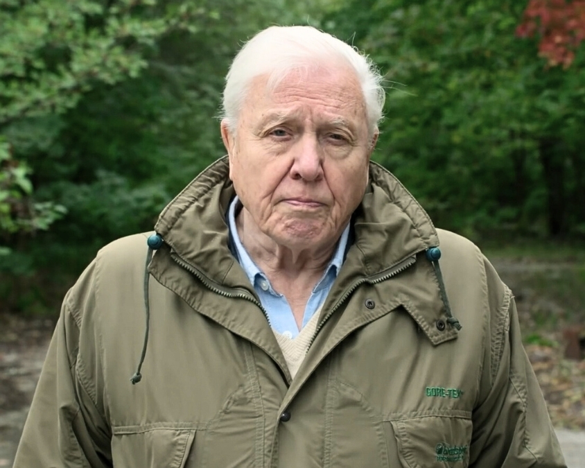 Gastos “climáticos” e financeiros das COPs merecem uma reflexão muito além da COP30 no Brasil