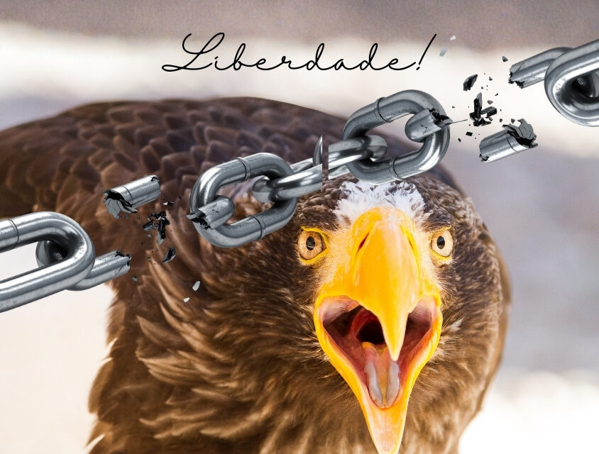Liberdade!