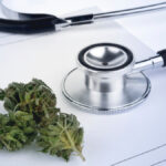 Anvisa propõe regras para a cannabis: avanço histórico com ressalvas