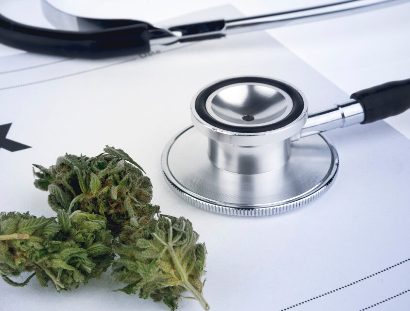 Anvisa propõe regras para a cannabis: avanço histórico com ressalvas