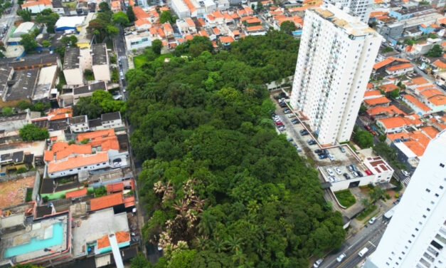 Prefeitura de São Paulo desapropria área para futura construção do Parque Vila Ema