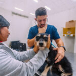 Hospital Veterinário Municipal do Tatuapé passa a funcionar 24h e amplia atendimento gratuito para urgências e emergências