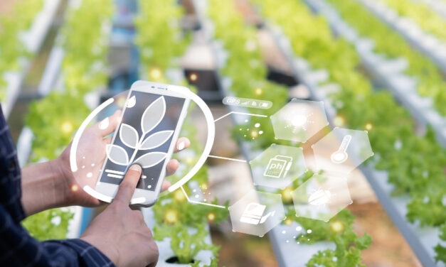 Delegação canadense de AgTech visita Ribeirão Preto e destaca oportunidades de inovação no agro