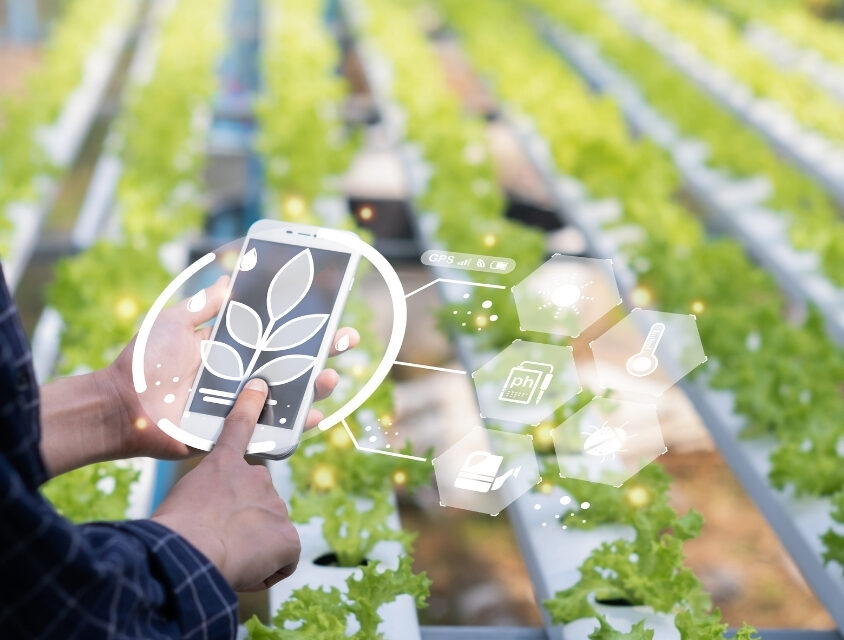 Delegação canadense de AgTech visita Ribeirão Preto e destaca oportunidades de inovação no agro