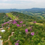 Prefeitura de SP transforma área degradada em parque para proteger nascentes do Rio Aricanduva