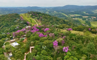 Prefeitura de SP transforma área degradada em parque para proteger nascentes do Rio Aricanduva